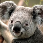 Profile picture of Paul Austin